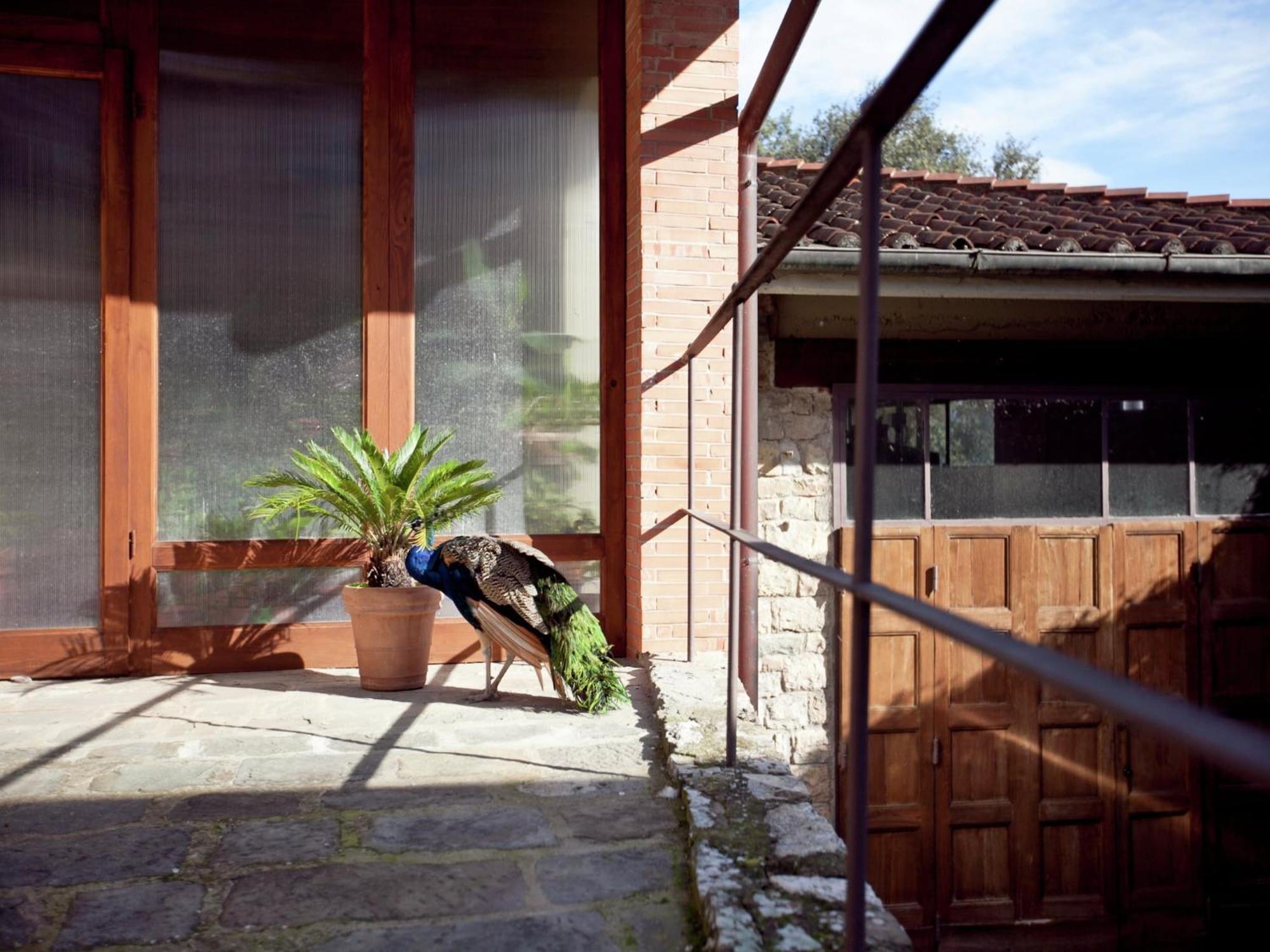 Pleasant Apartment With Swimming Pool Garden Bbq Parking Lucolena in Chianti Екстер'єр фото